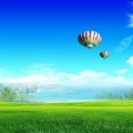 Hot Air Balloons over Field