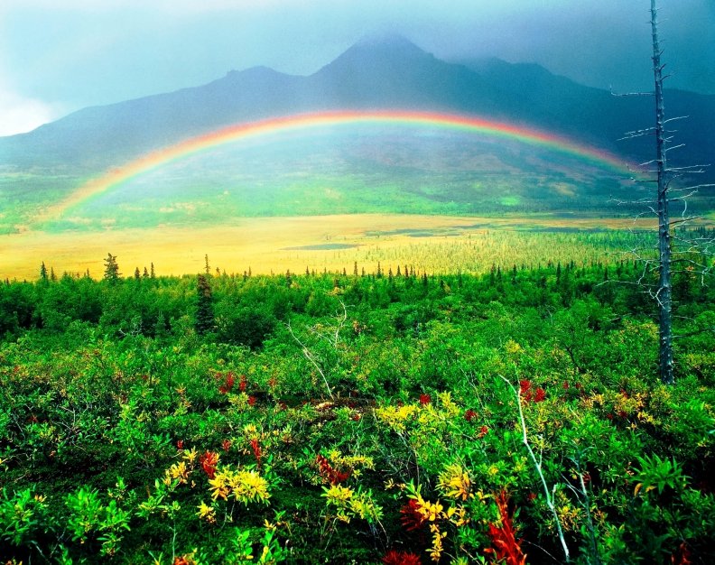 valley_rainbow.jpg