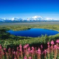 Mount McKinley Alaska