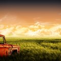 Old Red Truck in Field