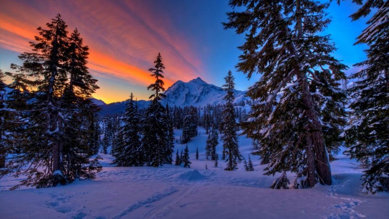 gorgeous_winterscape_at_sunset_hdr.jpg