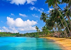 Tropical Beach _ hdr