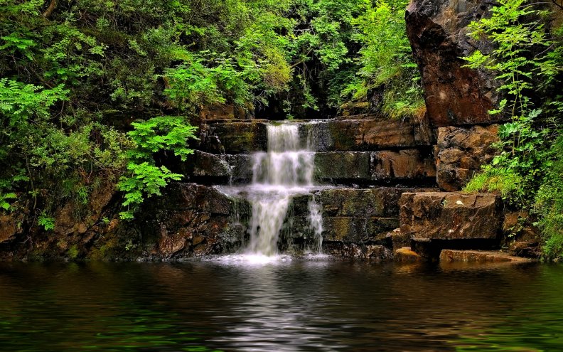 forest_waterfall.jpg