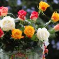 beautiful rose basket