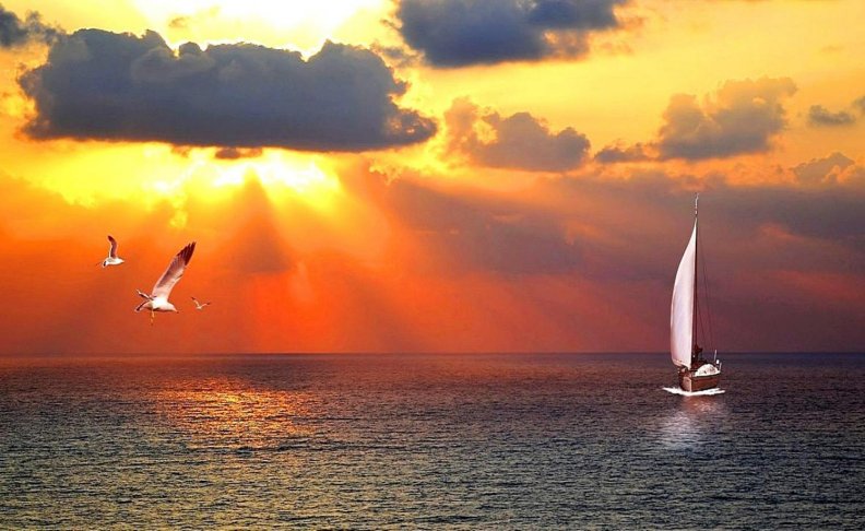 evening_sailing.jpg