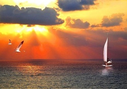Evening sailing