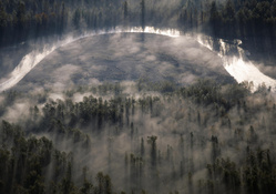 aerial view of a forest in morning fog