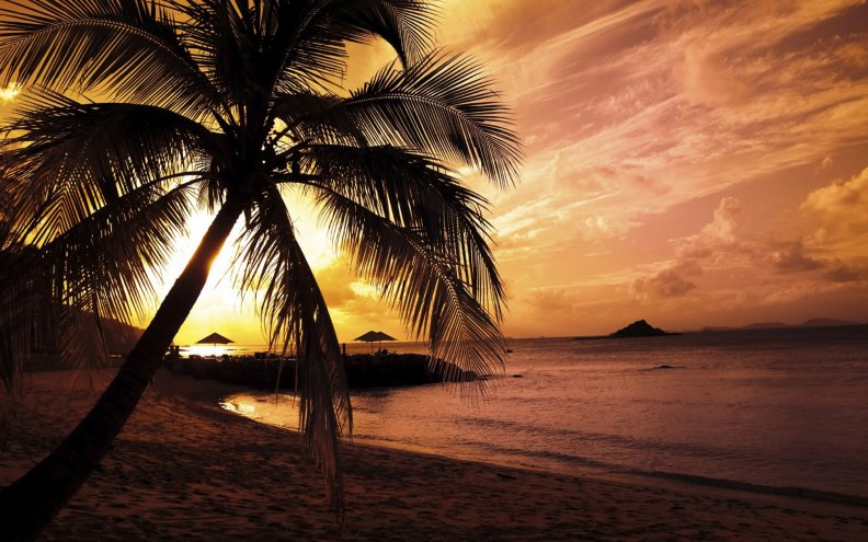 tropical_sunset.jpg