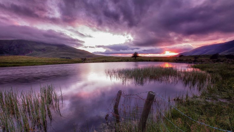 amazing_lavender_sunset_hdr.jpg