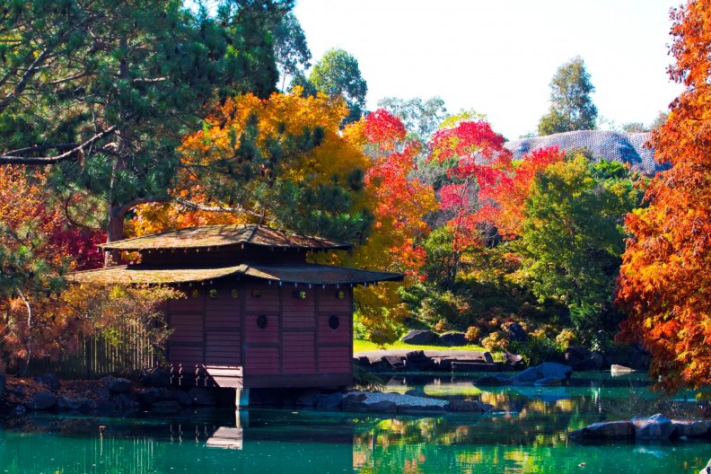 japanese_garden_at_autumn.jpg