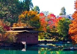 Japanese Garden at Autumn