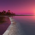 Pink and Purple Beach Sunset