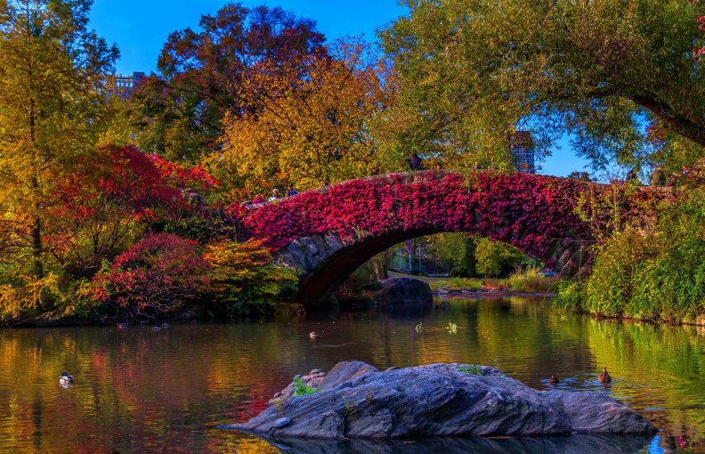 autumn_bridge.jpg