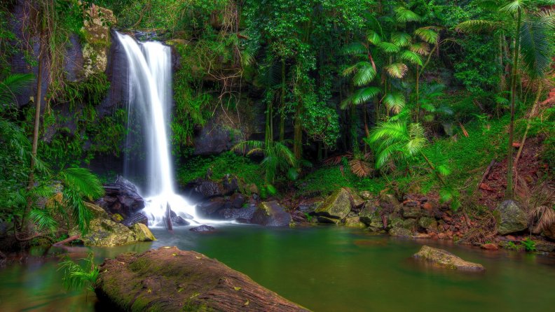 forest_waterfall_in_australia.jpg