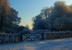 closed gate on a rural fence in winter