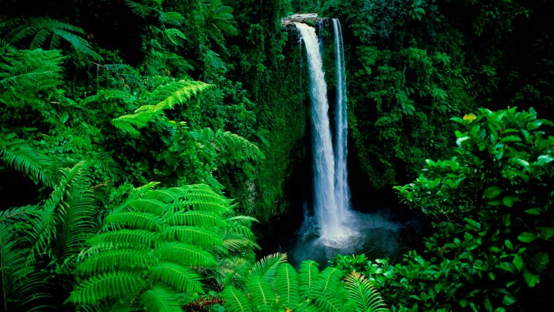 green_forest_waterfall.jpg