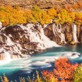 Autumn at Hraunfossar Waterfall