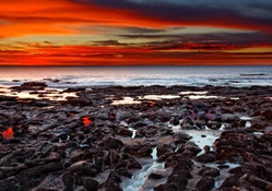 magnificent red sunset over seashore