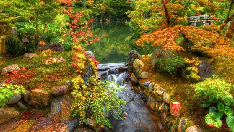 pond_in_a_lovely_oriental_garden_hdr.jpg