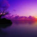 Purple Sunset at Maldives