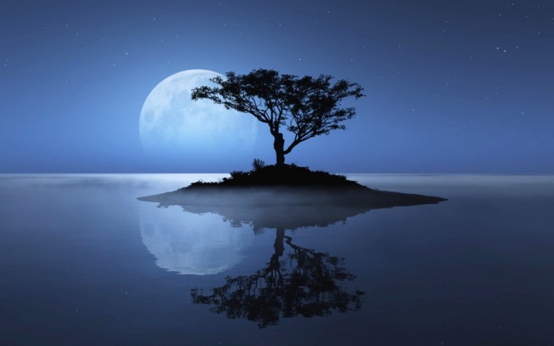 beautiful_night_reflection.jpg