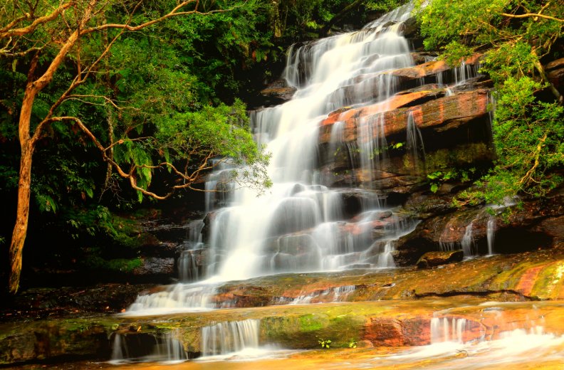 forest_waterfall.jpg