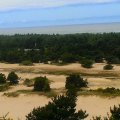 Lovely Sand Dunes