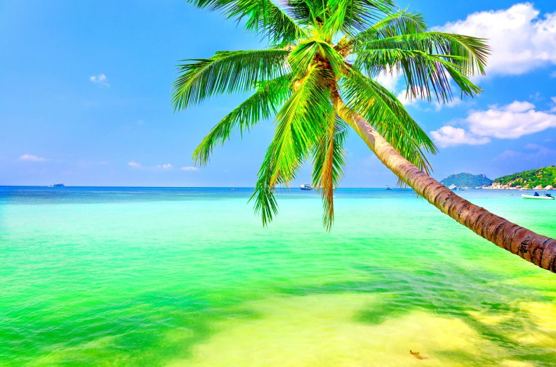 tropical_paradise.jpg