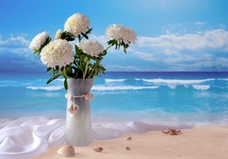 Flowers on the beach 