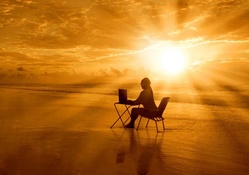 surfing online at the beach in sunset