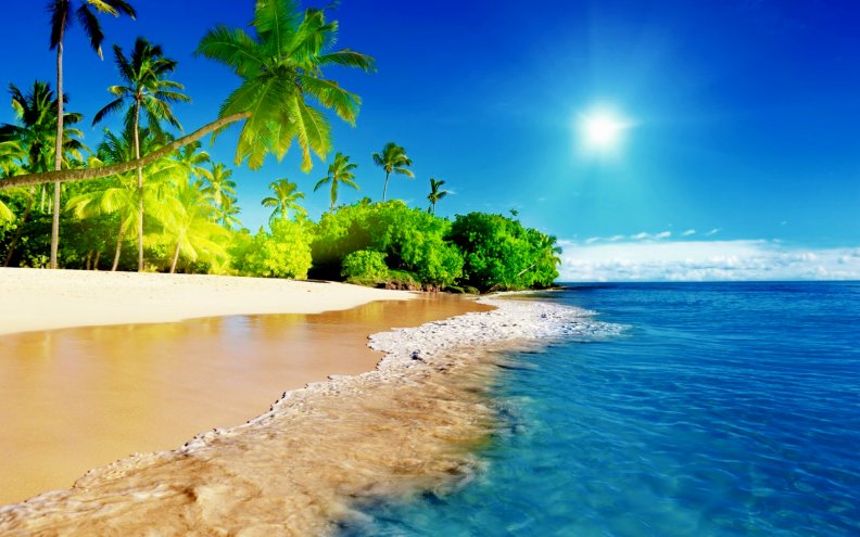 tropical_beach.jpg