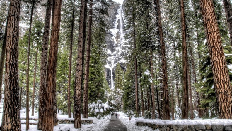 tall_waterfalls_in_forest_at_winter_hdr.jpg