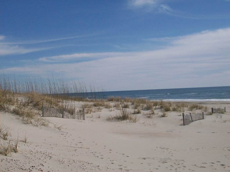 dunes_at_the_sea.jpg