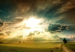 amazing sun rays over golden wheat fields