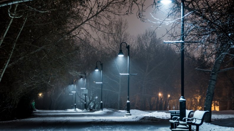 park_lamps_on_a_winter_night.jpg