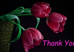 thank you with tulips