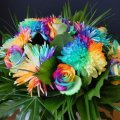 Gorgeous color bouquet