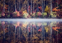 fog separating autumn forest reflection