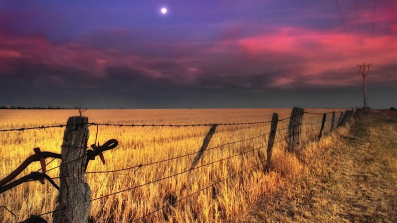 wheat_fields_under_a_moon_at_dusk.jpg