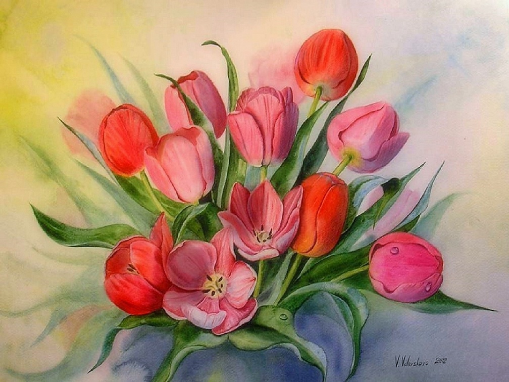 'Sweet Tulips'