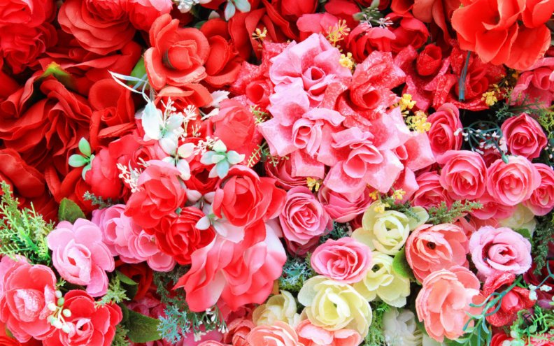 beautiful_flowers.jpg