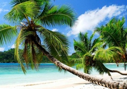Summer Beach, Seychelles
