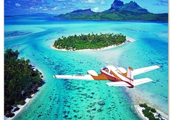 Let's Fly To Paradise!