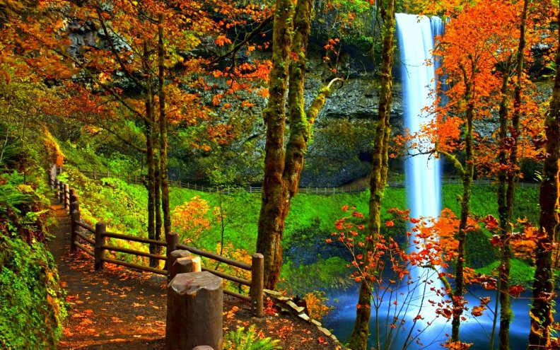 __Waterfall in Autumn__
