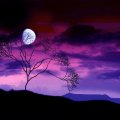 purple haze and moonlight