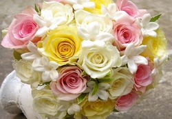 Pink, Yellow and white roses
