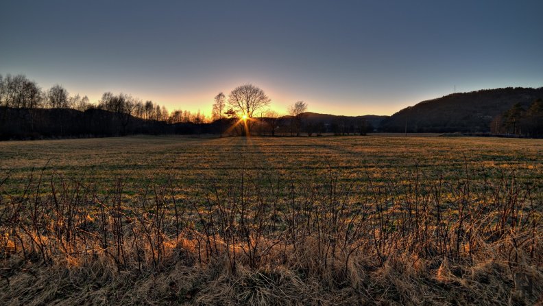 lovely_sunrise_over_a_rural_field.jpg