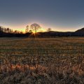 lovely sunrise over a rural field