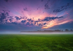 green fields under morning fog