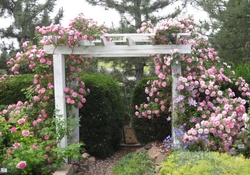 Pink Rose Garden Trelis